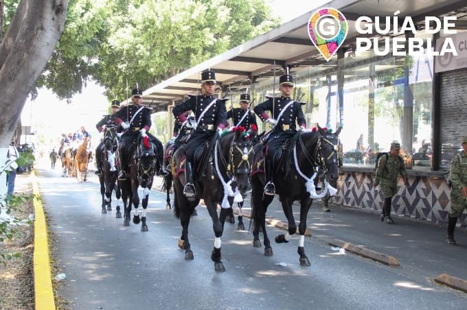 WhatsApp Image 2025-05-05 at 5.31.15 PM