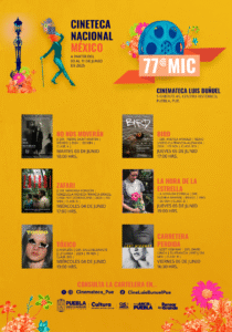 image (15)