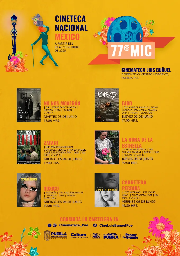 image (15)