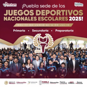 image (19)
