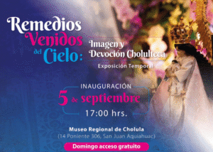 image (19)