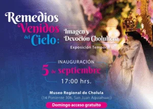 image (19)