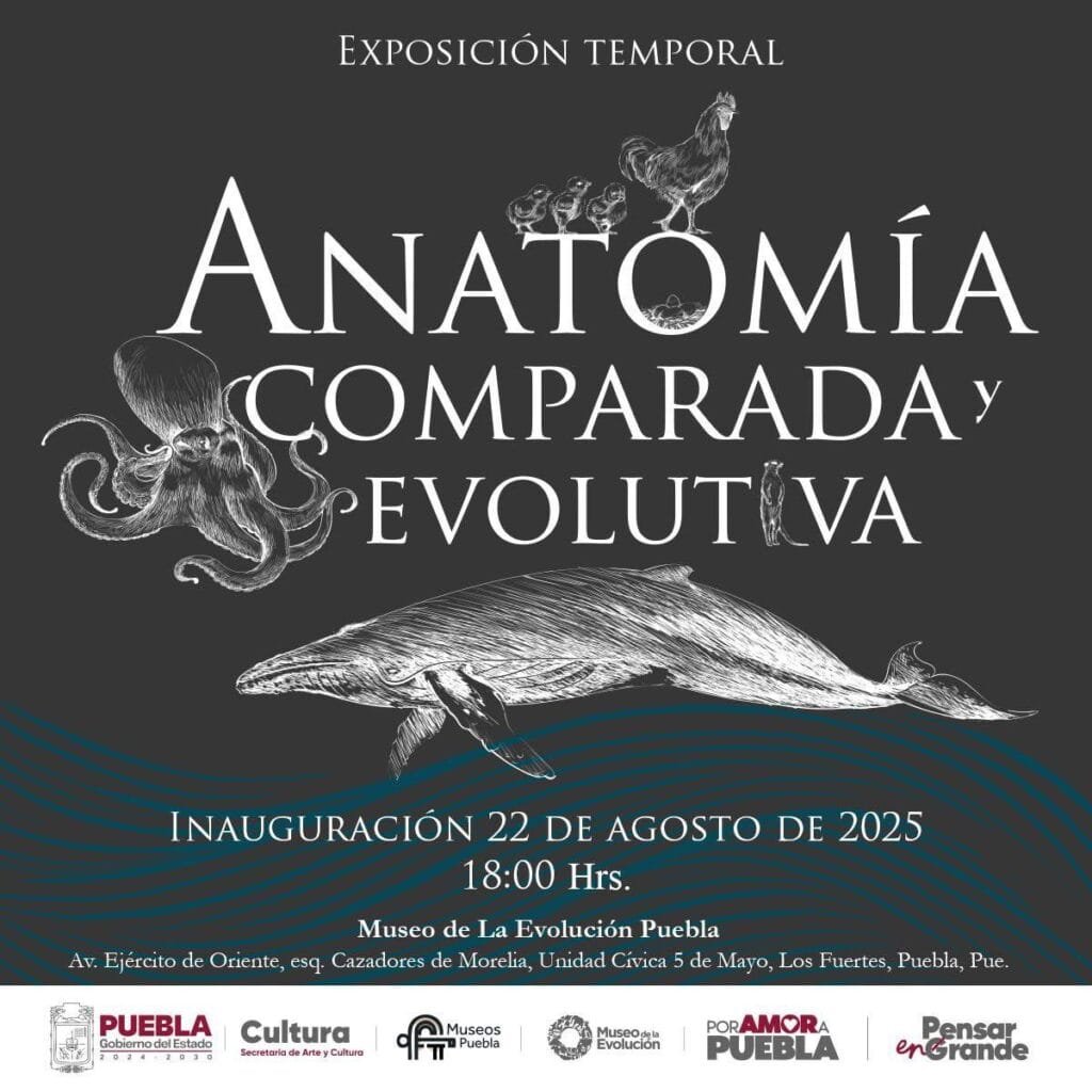 photo_2025-08-11_20-14-35