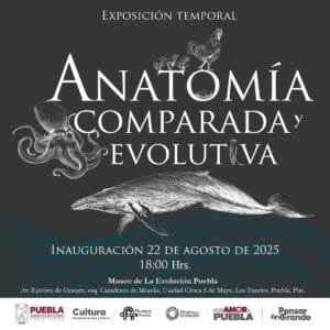 photo_2025-08-11_20-14-35