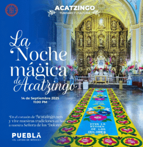 image (25)