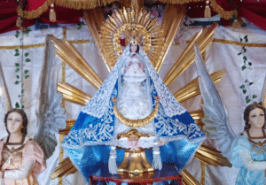 image (5)