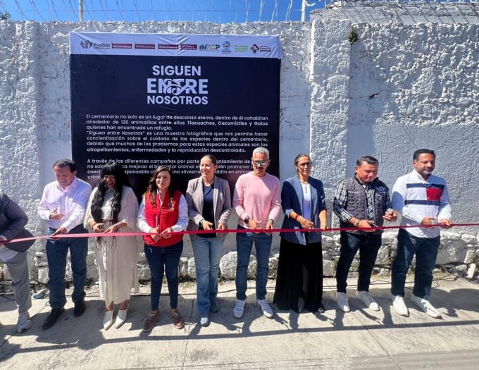 73BA1E61-DEE5-4514-98D4-6B8F8525663C