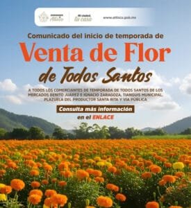 A45FFBD3-56C9-4478-9909-9F5C82C3357D