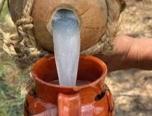 70038F02-68C0-4DF8-8DBD-F7C063378DBA