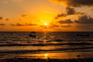 image - 2026-01-18T203033.482