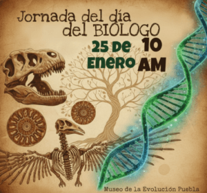 image - 2026-01-21T180439.848