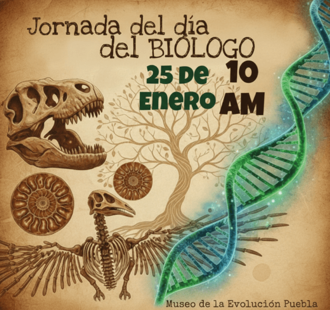 image - 2026-01-21T180439.848