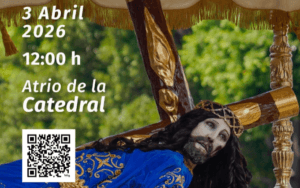 image - 2026-03-01T200356.721