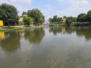 image (13)