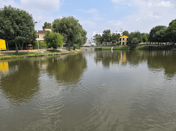 image (13)