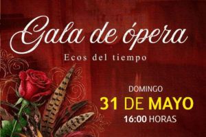 image (28)