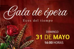image (28)