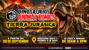 image (5)