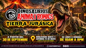 image (5)