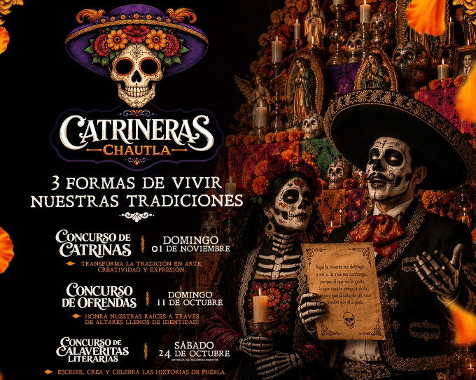 image (7)
